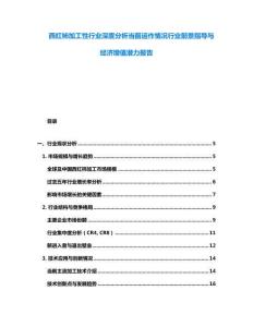 西紅柿加工性行業(yè)深度分析當(dāng)前運作情況行業(yè)前景指導(dǎo)與經(jīng)濟增值潛力報告