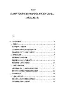 2025-2030汽车电池管理系统研究电池热管理技术与应用工况精准匹配方案