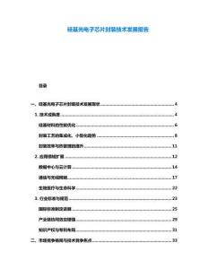 硅基光電子芯片封裝技術(shù)發(fā)展報告