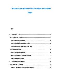 环境评估行业市场发展态势分析及未来趋势与污染治理研究报告