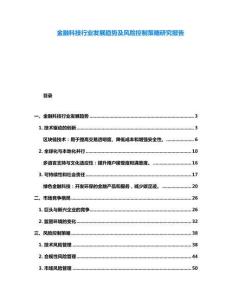 金融科技行業(yè)發(fā)展趨勢及風(fēng)險控制策略研究報告