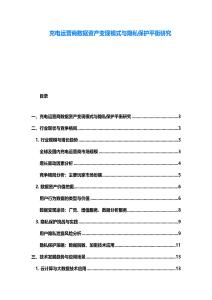 充電運營商數(shù)據(jù)資產變現(xiàn)模式與隱私保護平衡研究