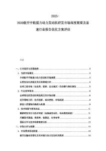 2025-2030航空宇航强力动力发动机研发市场深度展望及易速行业报告优化方案评估