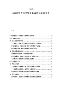 2025-2030軟件開發公司投資前景與薪資體系設計分析