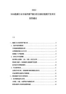 2025-2030能源行業市場供需平衡分析及清潔能源開發項目投資建議