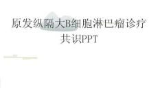 原发纵隔大B细胞淋巴瘤诊疗共识PPT