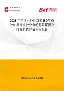 2025年中國小外形封裝 (SOP) 微控制器插座行業市場前景預測及投資價值評估分析報告