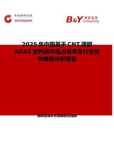 2025年中國基于CNT薄膜ADAS加熱器市場占有率及行業競爭格局分析報告