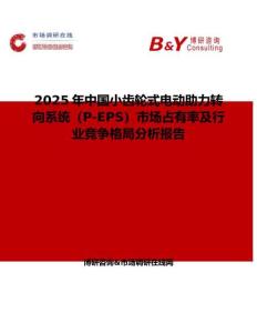 2025年中国小齿轮式电动助力转向系统（P-EPS）市场占有率及行业竞争格局分析报告