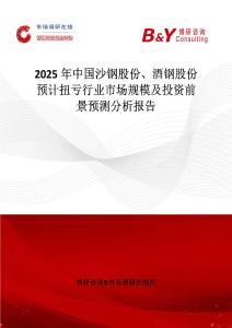 2025年中国沙钢股份、酒钢股份预计扭亏行业市场规模及投资前景预测分析报告