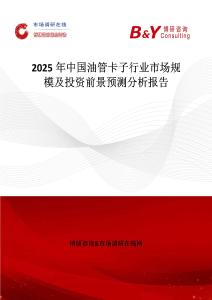 2025年中國油管卡子行業市場規模及投資前景預測分析報告