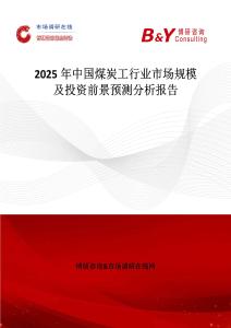 2025年中國煤炭工行業市場規模及投資前景預測分析報告