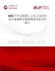 2025年中國版第三方電子支付行業市場規模及投資前景預測分析報告