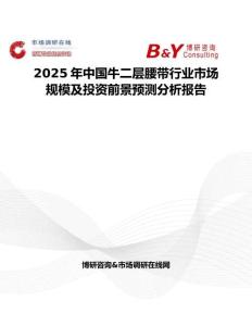 2025年中國牛二層腰帶行業市場規模及投資前景預測分析報告