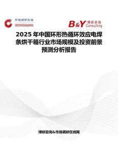 2025年中國環形熱循環效應電焊條烘干箱行業市場規模及投資前景預測分析報告