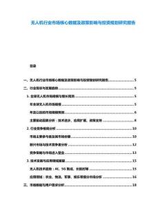 無人機行業市場核心數據及政策影響與投資規劃研究報告