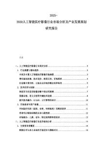 2025-2030人工智能醫(yī)療影像行業(yè)市場分析及產(chǎn)業(yè)發(fā)展規(guī)劃研究報告
