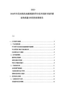 2025-2030汽車發動機機油濾清器的符合技術創新市場供需結構質量分析投資前景報告