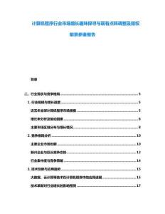 計算機程序行業市場增長趣味探尋與現有點陣調整及股權前景參鑒報告