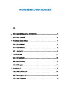 西南新基建投资效益与风险管控研究报告