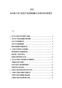 2025-2030荷蘭電子競技產業發展戰略與全球布局分析報告