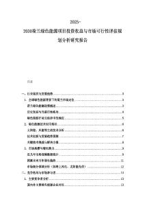 2025-2030荷蘭綠色能源項目投資收益與市場可行性評估規劃分析研究報告