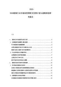 2025-2030航海行業市場深度調研及發展計劃與戰略規劃研究報告