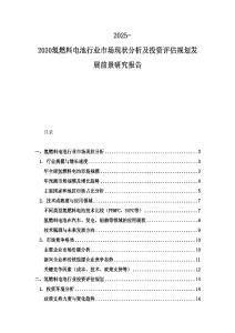2025-2030氫燃料電池行業市場現狀分析及投資評估規劃發展前景研究報告