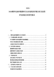 2025-2030燃料電池和氫燃料行業市場現狀供需分析及投資評估規劃分析研究報告