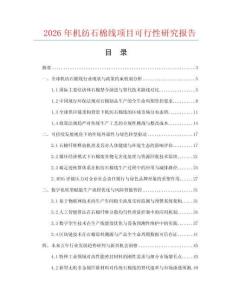 2026年機(jī)紡石棉線項(xiàng)目可行性研究報告