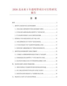 2026及未來5年透明罩項目可行性研究報告