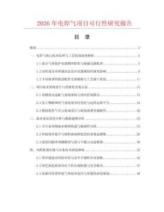 2026年電焊氣項目可行性研究報告