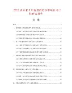 2026及未來5年新型消防水帶項(xiàng)目可行性研究報(bào)告