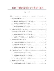 2026年棘輪扳項目可行性研究報告