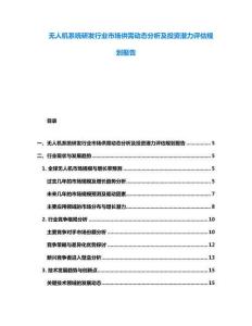 無人機系統研發行業市場供需動態分析及投資潛力評估規劃報告