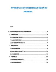 西寧新能源汽車行業市場供需格局演變分析投資潛力評估發展規劃報告
