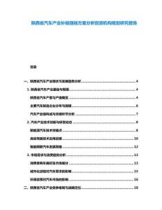 陜西省汽車產(chǎn)業(yè)補(bǔ)鏈強(qiáng)鏈方案分析投資機(jī)構(gòu)規(guī)劃研究報(bào)告