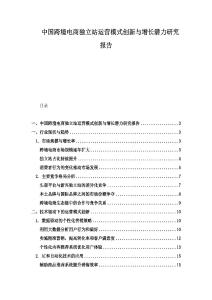 中國跨境電商獨(dú)立站運(yùn)營模式創(chuàng)新與增長潛力研究報(bào)告