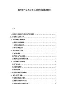 潤滑油產品線延伸與品牌矩陣建設報告