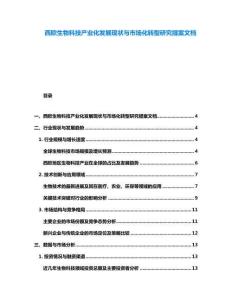 西歐生物科技產業化發展現狀與市場化轉型研究提案文檔