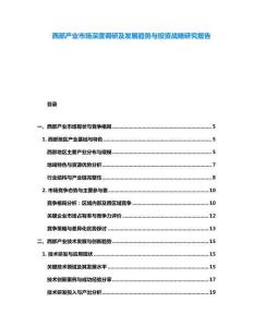 西部產(chǎn)業(yè)市場深度調(diào)研及發(fā)展趨勢與投資戰(zhàn)略研究報告