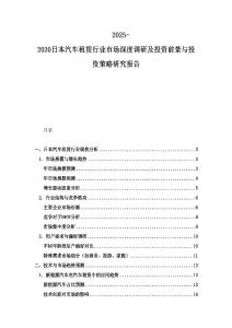 2025-2030日本汽車租賃行業市場深度調研及投資前景與投資策略研究報告