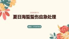 夏日海蜇蜇伤应急处理