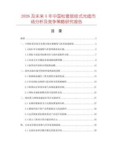 2026及未来5年中国松套层绞式光缆市场分析及竞争策略研究报告