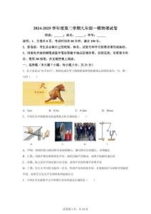 2025年廣東省東莞市望牛墩中學中考一模物理試題（含答案）