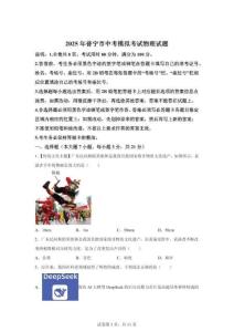 2025年廣東省揭陽市普寧市中考一模物理試題（含答案）