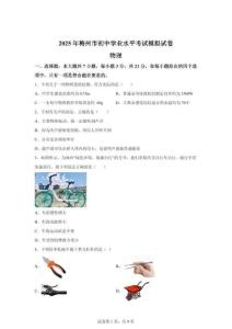 2025年廣東省梅州市中考一模物理試題（含答案）