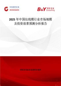 2025年中國拉線模行業(yè)市場規(guī)模及投資前景預測分析報告