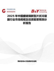 2025年中國搪玻璃新型片狀冷凝器行業市場規模及投資前景預測分析報告