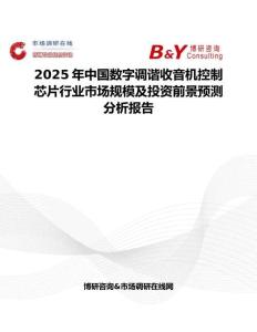 2025年中国数字调谐收音机控制芯片行业市场规模及投资前景预测分析报告